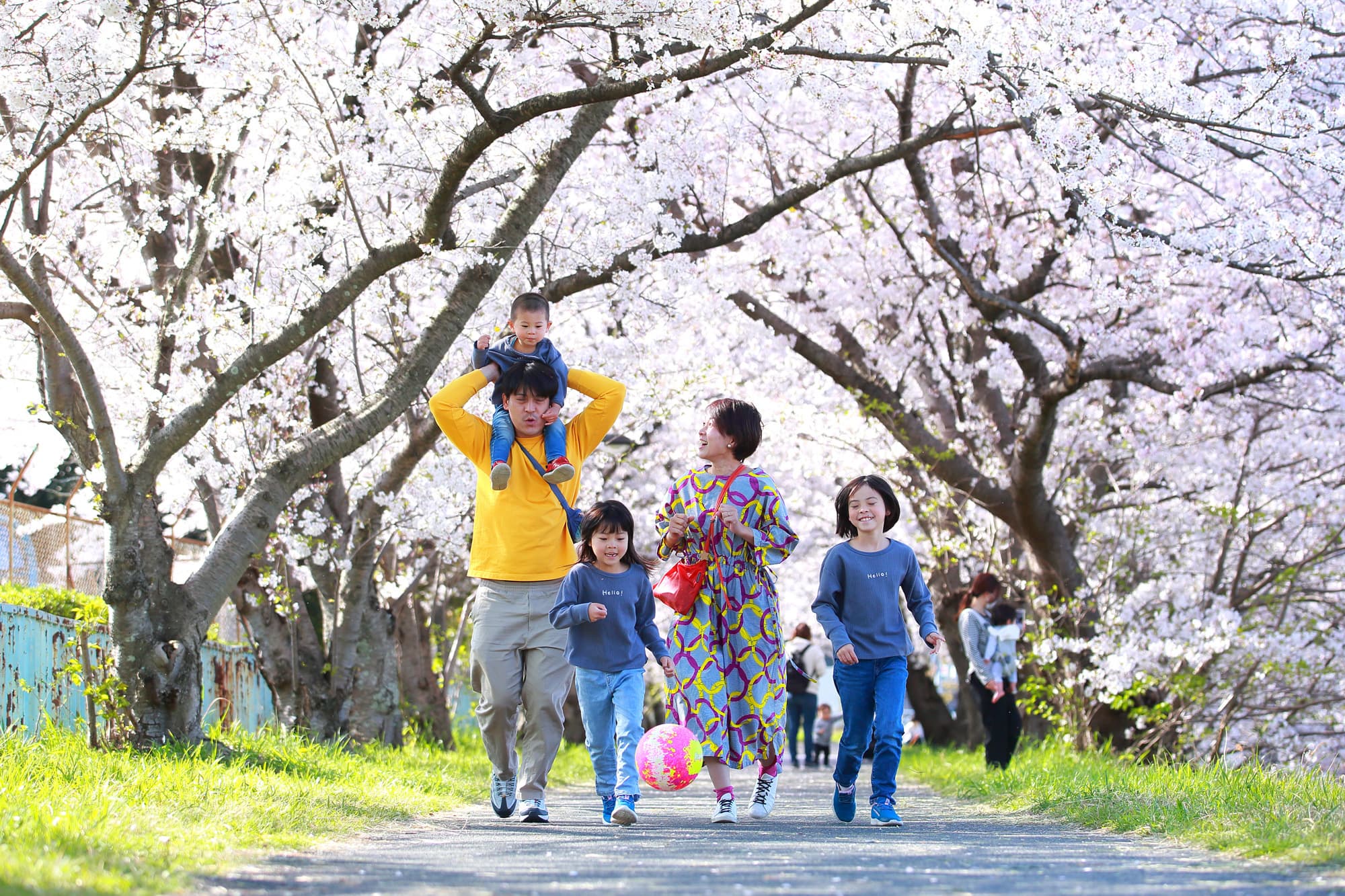 桜撮影会写真サンプル