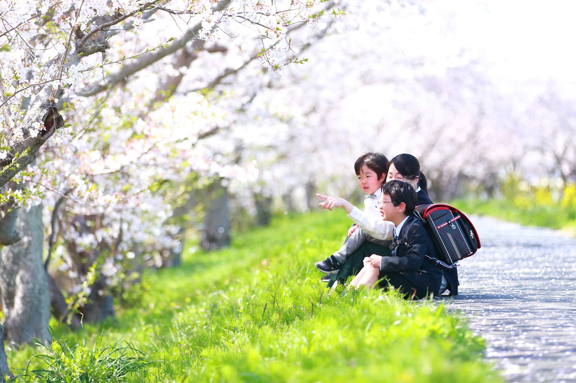 桜撮影会写真サンプル