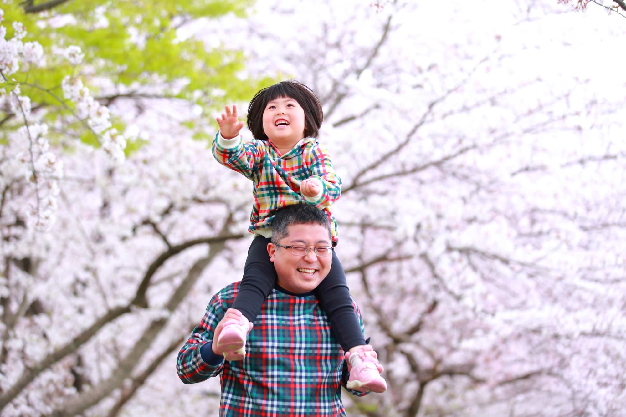 桜撮影会写真サンプル