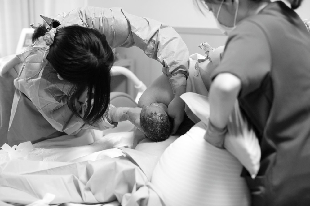 ジャンプする ビリーヤギ 政府 出産 出る 瞬間 写真 地域 調査 ママ ジャンプする ビリーヤギ 政府 出産 出る 瞬間 写真 地域 調査 ママ