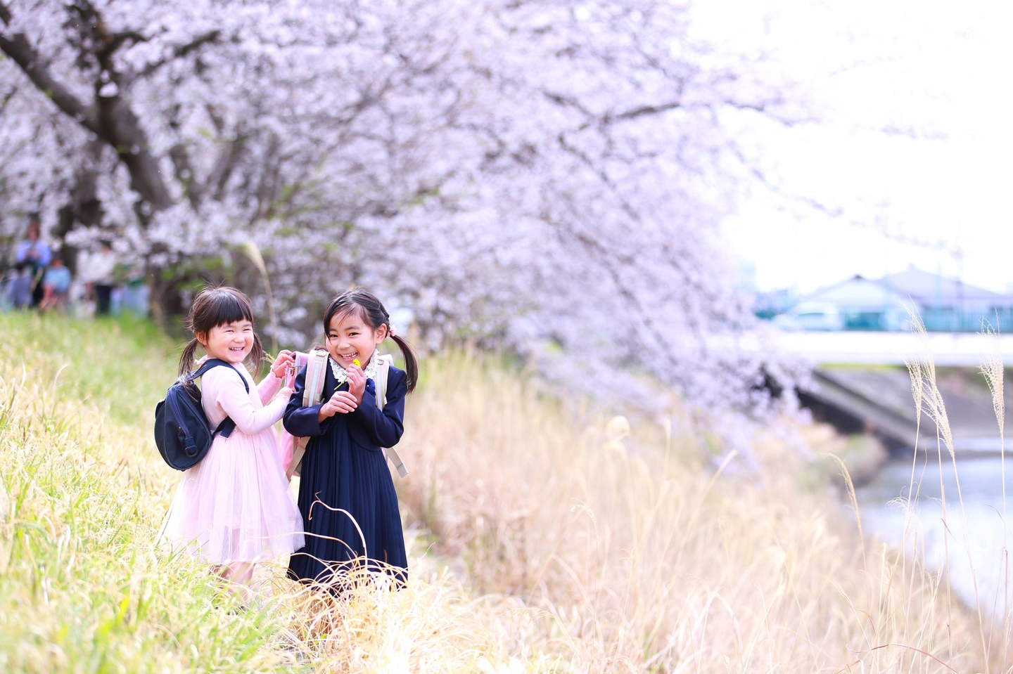桜の季節の家族撮影会