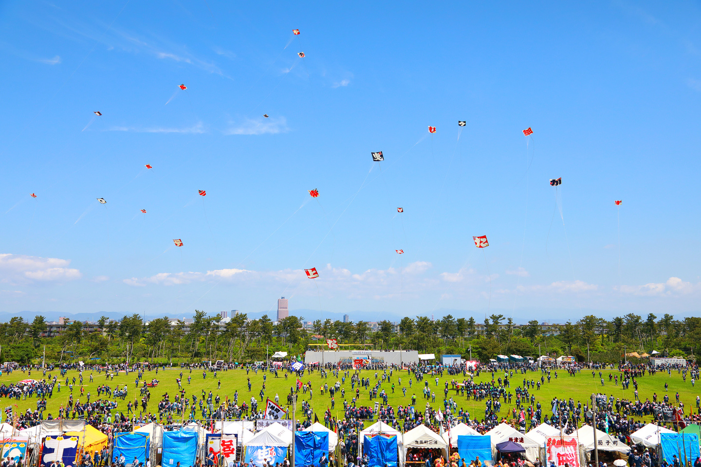 桜撮影会写真サンプル