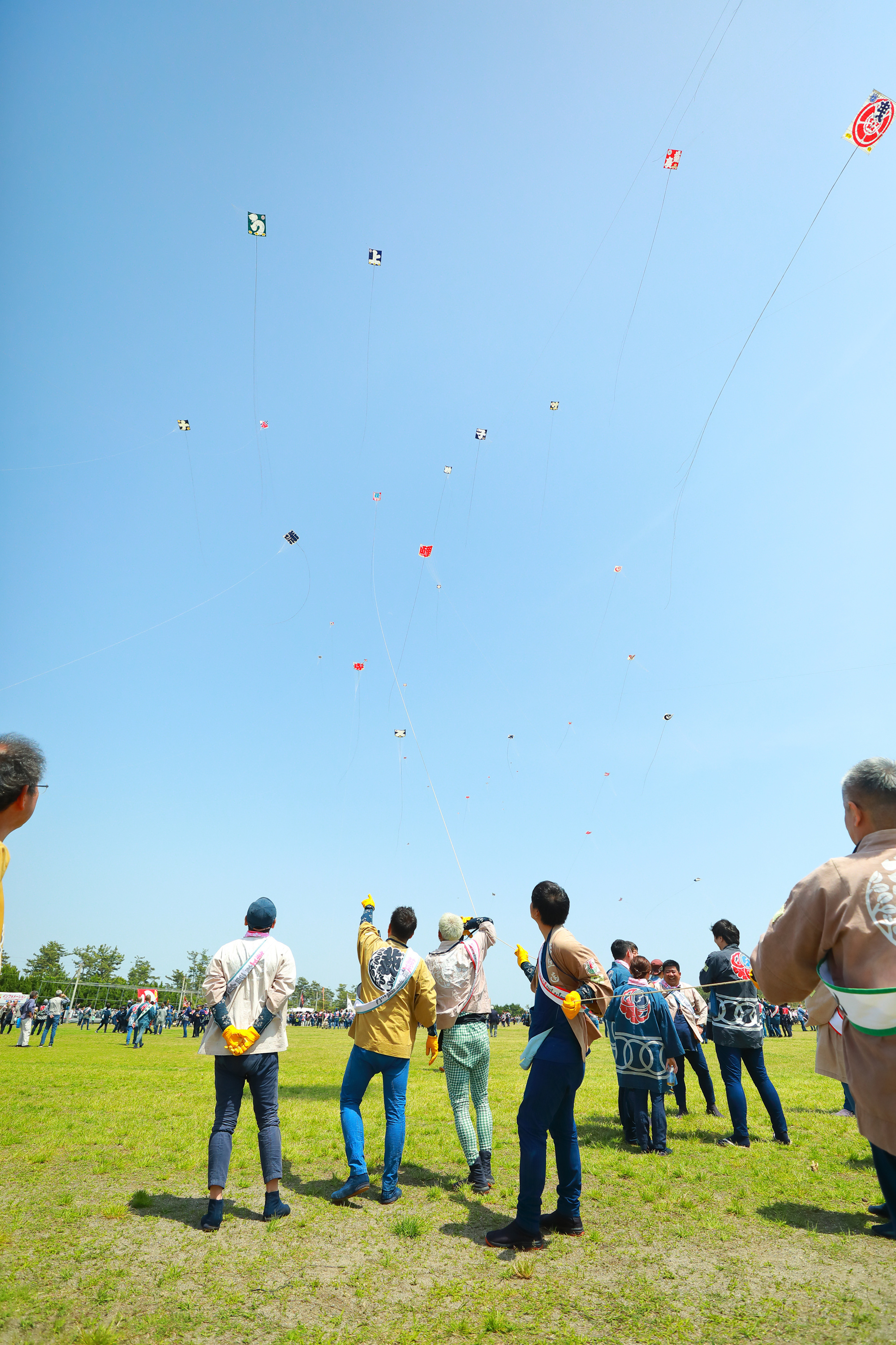 出張カメラマンが撮影した浜松まつりの写真のワンシーン